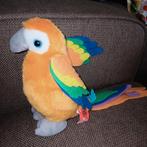 Papagaai met geluid, phi phi republica argentina., Ophalen of Verzenden