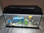 Aquarium met toebehoren, Dieren en Toebehoren, Ophalen, Gebruikt