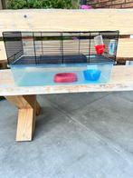 Hamster kooi, Dieren en Toebehoren, Kooi, Minder dan 75 cm, Zo goed als nieuw, Hamster