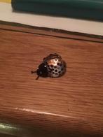 Te koop lieveheersbeestje, Ophalen of Verzenden