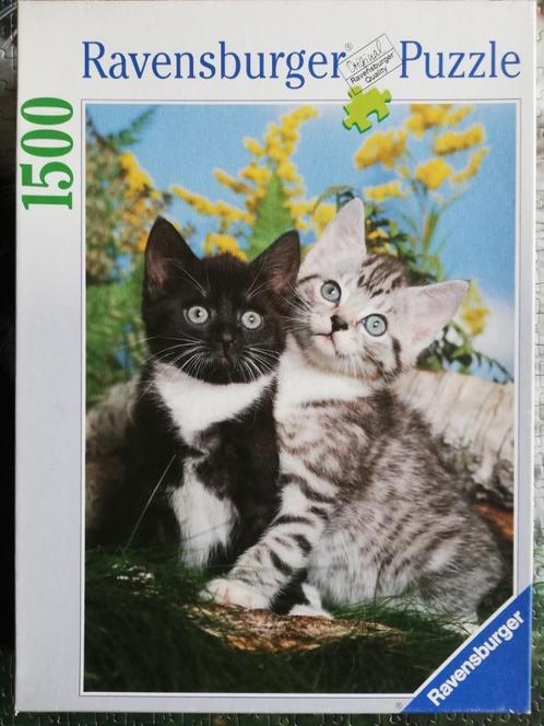Puzzel 1500 stukjes: Twee Katjes, Hobby en Vrije tijd, Denksport en Puzzels, Gebruikt, Legpuzzel, 500 t/m 1500 stukjes, Ophalen of Verzenden