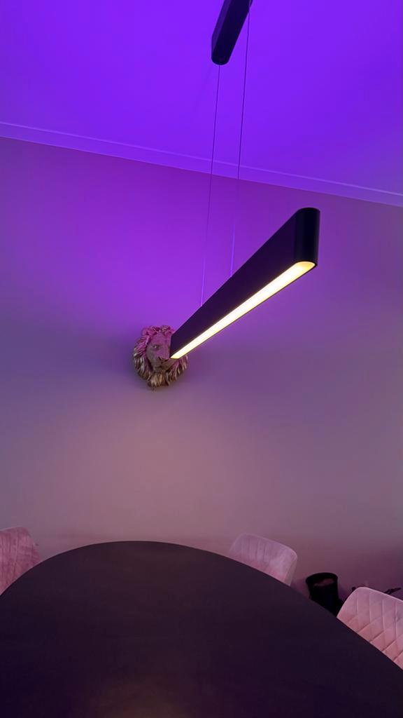 Philips Hue Ensis Hanglamp - Slimme Verlichting, Huis en Inrichting, Lampen | Hanglampen, Zo goed als nieuw, Minder dan 50 cm