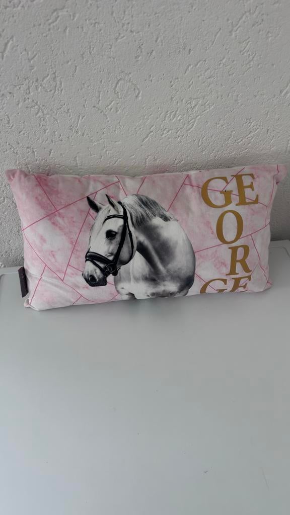 Paardenpraat TV Kussen, Huis en Inrichting, Woonaccessoires | Kussens, Ophalen of Verzenden, Zo goed als nieuw, Roze, Rechthoekig