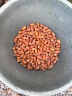 Eikels >50 kilo, Dieren en Toebehoren, Ophalen, Overige soorten
