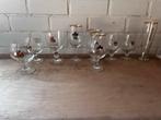 Hertog Jan Bierglazen Collectie - 18 stuks, Ophalen of Verzenden, Gebruikt, Glas of Glazen