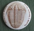 Magneet met afbeelding trilobiet, tevens flesopener., Verzenden, Overige typen