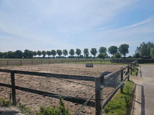 Per 1 augustus 1box vrij op privestal, Dieren en Toebehoren, Stalling en Weidegang