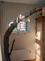 Grote tak/boom, Meerdere dieren, Parkiet