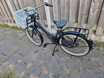 Cortina 24 inch  beschikbaar voor biedingen