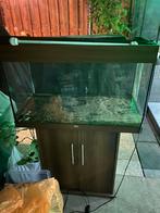 Juwel aquarium 125L, Dieren en Toebehoren, Vissen | Aquaria en Toebehoren, Ophalen of Verzenden