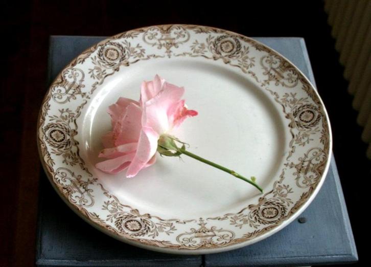 Vintage engels bord - duraline / grindley, Antiek en Kunst, Antiek | Servies los, Ophalen of Verzenden
