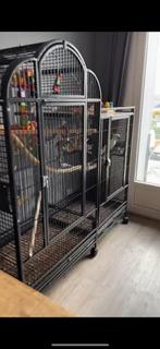 XL papegaaienkooi, Dieren en Toebehoren, Vogels | Hokken en Kooien, Ophalen of Verzenden, Zo goed als nieuw, Metaal, Vogelkooi