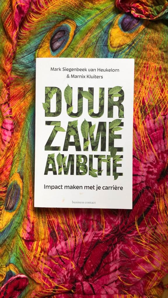 Mark Siegenbeek & Marnix Kluiters - Duurzame ambitie, Boeken, Psychologie, Zo goed als nieuw, Ophalen of Verzenden