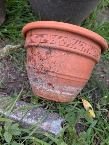 Terracotta Bloempot met Motief en een zonder motief  beschikbaar voor biedingen