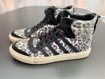 TE KOOP: leren meisjes sneakers van Piedro maat 41 ZGAN beschikbaar voor biedingen