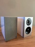 Definitive Technology Demand Series D9 luidsprekers, Zo goed als nieuw, 120 watt of meer, Front, Rear of Stereo speakers, Ophalen