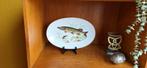 Hutschenreuther Bord - Snoek Decoratie, vintage porselein, Antiek en Kunst, Ophalen of Verzenden