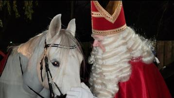 Sinterklaas en Pieten voor een bezoekje beschikbaar voor biedingen