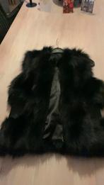 Bodywarmer / gillet - zwart - mt 40 - bont, Ophalen of Verzenden, Zo goed als nieuw, Maat 38/40 (M), Zwart