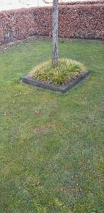 Betonnen bielzen en grassen, Tuin en Terras, Ophalen, Bloeit niet, Halfschaduw, Overige soorten