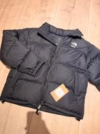 Skims X North Face Nuptse 1996 - maat M, Kleding | Dames, Ophalen of Verzenden, Nieuw, Maat 38/40 (M), Zwart