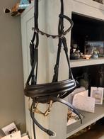 Hoofdstel maat cob, Dieren en Toebehoren, Ophalen of Verzenden, Dressuur