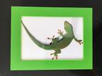 Groen houten fotolijst met afbeelding gekko., Minder dan 50 cm, Gebruikt, Ophalen of Verzenden, Minder dan 50 cm