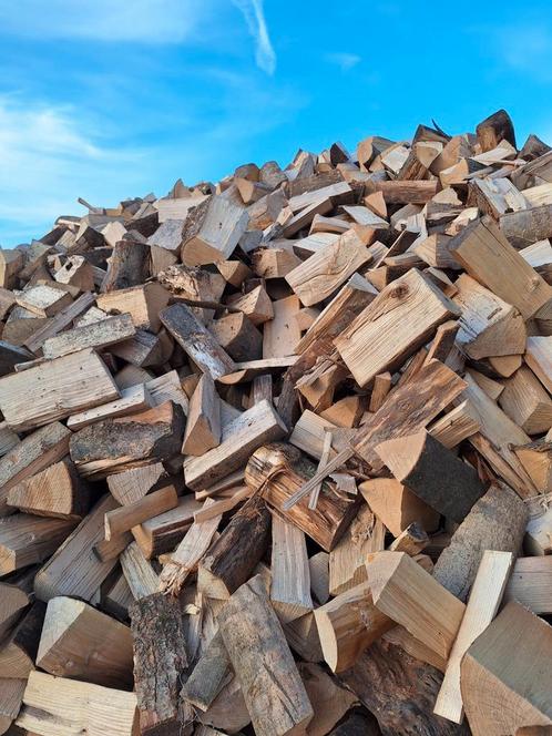 Puur ESSEN haardhout te koop!!, Tuin en Terras, Haardhout, Blokken, Essenhout, 6 m³ of meer, Ophalen of Verzenden