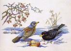 Eva Rosenstand Borduurpakket Wintervogels 12-543, Hobby en Vrije tijd, Ophalen of Verzenden, Nieuw, Handborduren, Borduurpakket