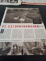 Artikel over de Krimpenerwasrd Bergambacht, Schoonhoven,, Ophalen of Verzenden, 1940 tot 1960, Krant