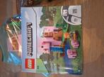 minecraft legosets 21170 en setje 21158, Kinderen en Baby's, Speelgoed | Duplo en Lego, Ophalen, Zo goed als nieuw