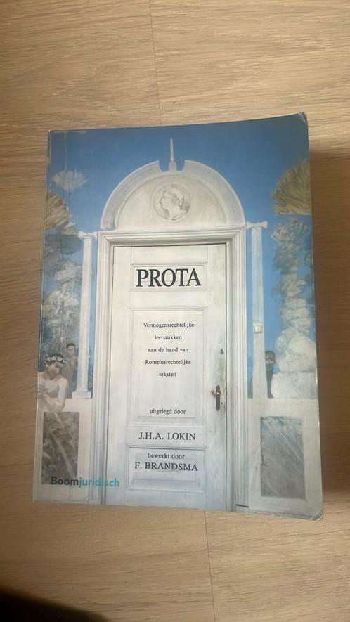 J.H.A. Lokin - Prota, Boeken, Wetenschap, Zo goed als nieuw, Ophalen of Verzenden