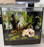 Superfish aquarium Qubiq 30 pro zwart - 30 liter, Dieren en Toebehoren, Vissen | Aquaria en Toebehoren, Ophalen, Zo goed als nieuw