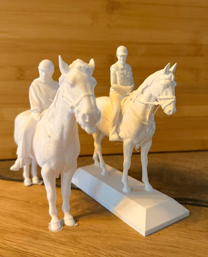 3D Poppetje op Maat - Levenssecht & Persoonlijk!, Verzamelen, Poppetjes en Figuurtjes, Nieuw, Ophalen of Verzenden