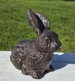 KONIJN / HAAS / GIETIJZER / tuinbeeld