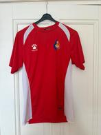 Telstar Matchworn Shirt 2017/2018 Large zelden!, Ophalen of Verzenden, Zo goed als nieuw, Buitenlandse clubs, Shirt