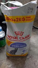 Royal canin regular sterilised 12 kg nieuwe zak, Dieren en Toebehoren, Dierenvoeding, Kat, Ophalen