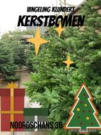 kerstboom,nordman,picea,glauce, Ophalen, Overige soorten