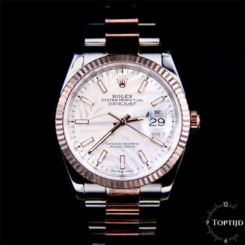 Rolex 126231 Datejust 36 Rose gold-steel Palm dial Fullset beschikbaar voor biedingen