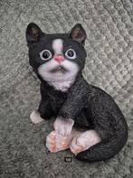 Zwart witte kat, Ophalen of Verzenden, Zo goed als nieuw, Dier