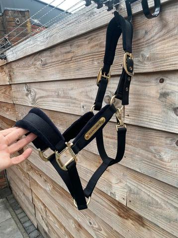 Nieuwe KENTUCKY VELVET HALSTER / COB beschikbaar voor biedingen