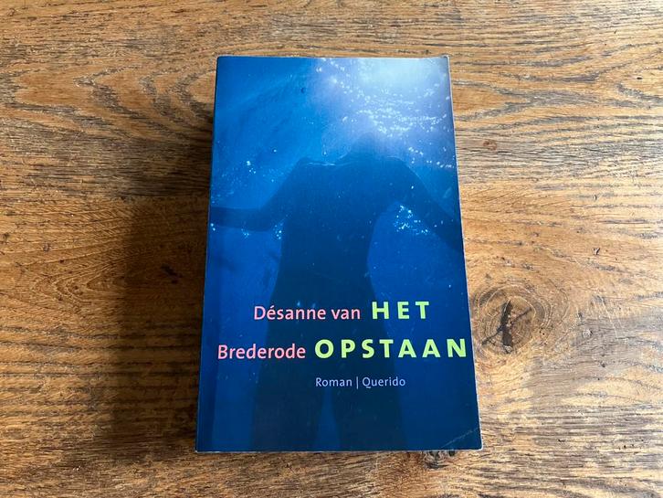 Désanne van Brederode - Het opstaan, Boeken, Literatuur, Zo goed als nieuw, Ophalen of Verzenden