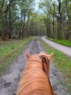 Buitenrit op ijslandse paarden (Hilversum), Ophalen