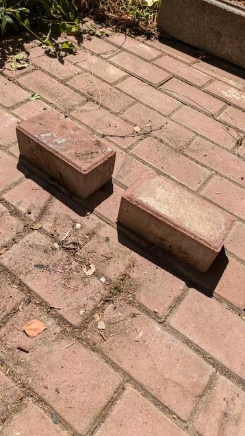 Gratis bakstenen beschikbaar voor biedingen