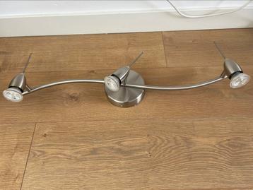 Hologeen spotje beschikbaar voor biedingen