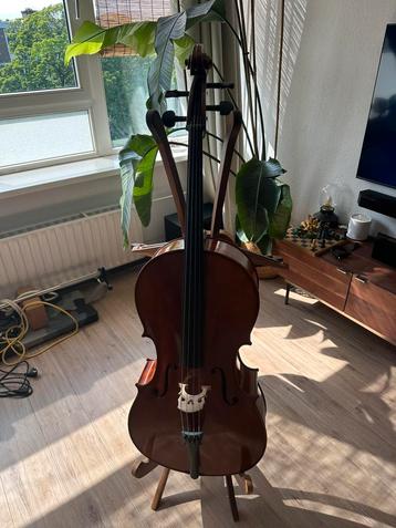 Cello (2022) Europees hout beschikbaar voor biedingen