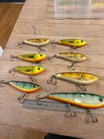 Verschillende kwaliteit jerkbaits, Watersport en Boten, Ophalen of Verzenden, Gebruikt, Overige typen
