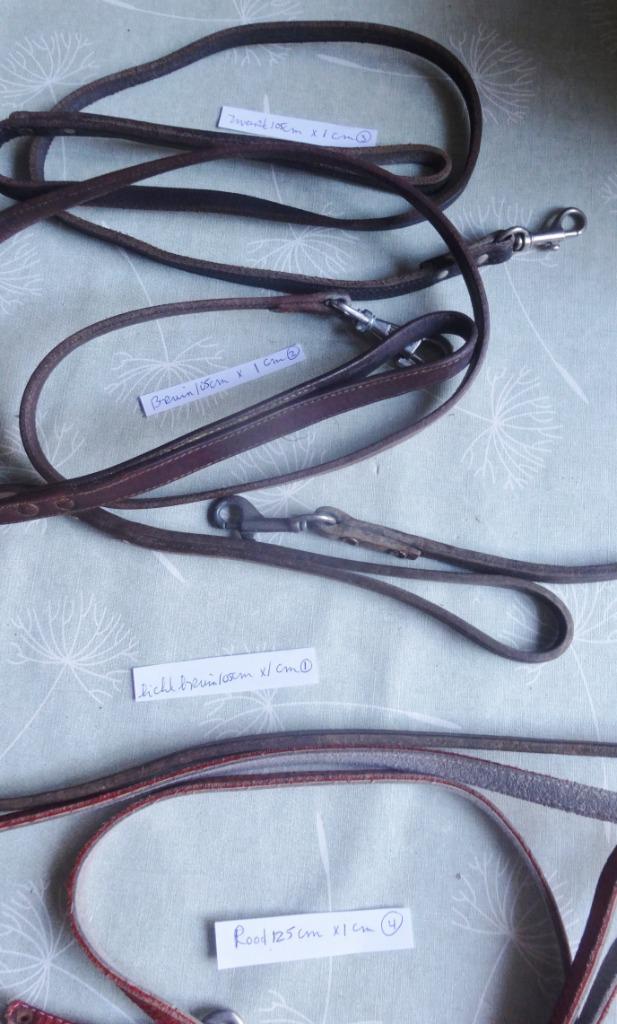 HONDEN BENODIGHEDEN * Kleine Maat *, Dieren en Toebehoren, Honden-accessoires, Nieuw, Verzenden