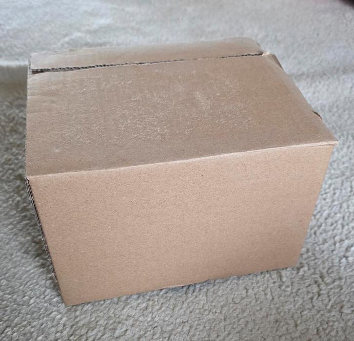 Fossielen Verrassingsdoos - Perfect Cadeau!, Verzamelen, Mineralen en Fossielen, Fossiel, Ophalen of Verzenden