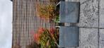 Prachtige plantenbakken inclusief planten!, Tuin en Terras, Steen, Gebruikt, Vierkant, Ophalen of Verzenden